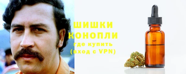 шишки Дмитриев