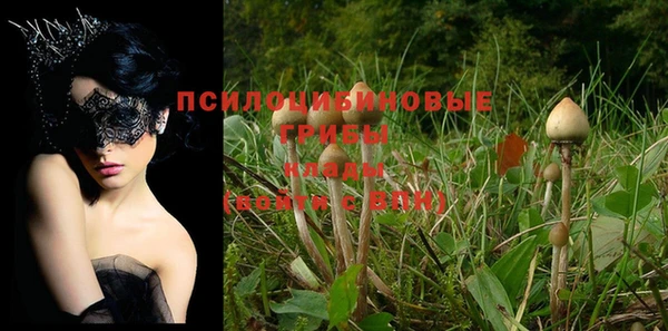 mix Пересвет