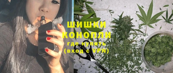 дмт Инта