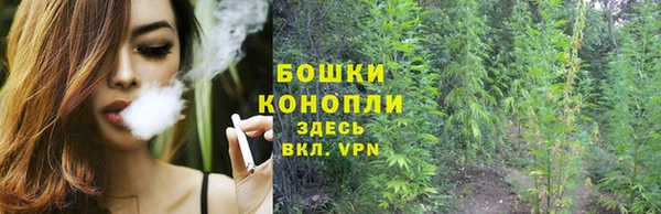сатива Иноземцево