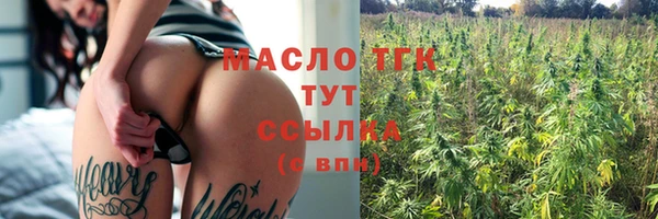твердый Инсар