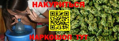 крисы Бийск