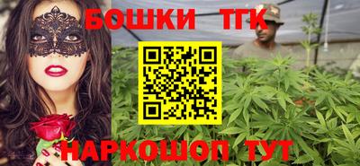 крисы Бийск