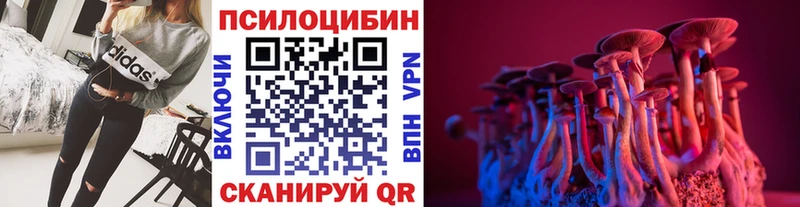 где купить наркоту  Великие Луки  Галлюциногенные грибы Psilocybine cubensis 