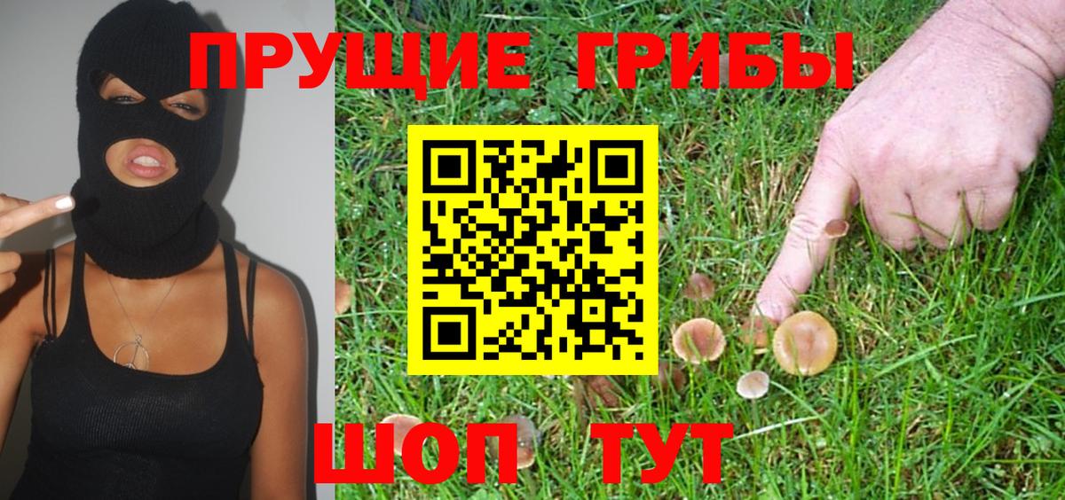 Галлюциногенные грибы GOLDEN TEACHER Великие Луки