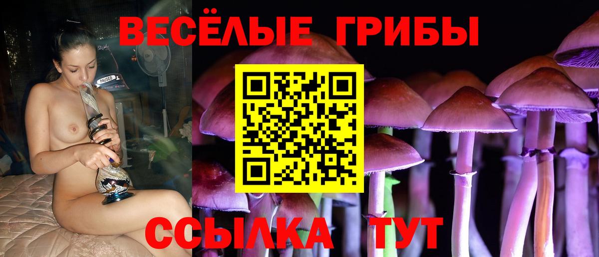 Великие Луки  Псилоцибиновые грибы GOLDEN TEACHER  Вход с VPN 