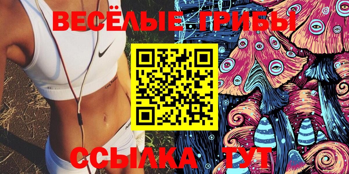 Псилоцибиновые грибы мухоморы  Галлюциногенные грибы Psilocybe  Великие Луки 