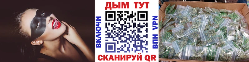 где найти Великие Луки Каннабис Amnesia